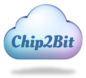 Chip2Bit